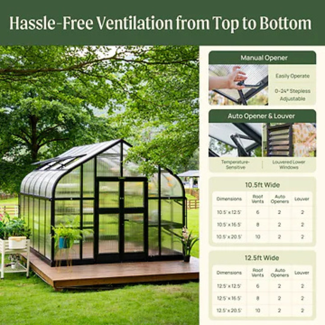 Vego Pacific Greenhouse - 10.5ft Wide