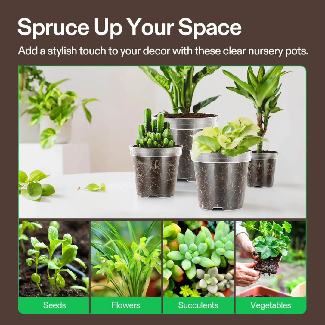 Vivosun 40 Packs 3/4/5/6 Inch Clear Nursery Pots with Drainage Holes