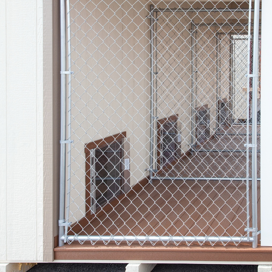 Bird in Hand 12×16 4-Run Commercial Kennel