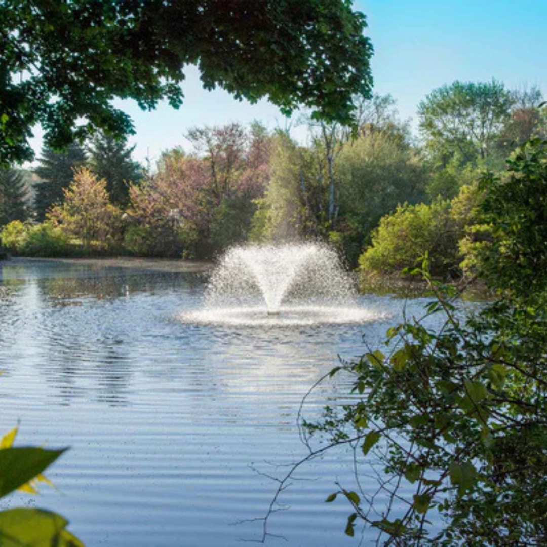 Scott Aerator DA-20 Display Aerator for Small, Residential Ponds ¾ hp 115 volts