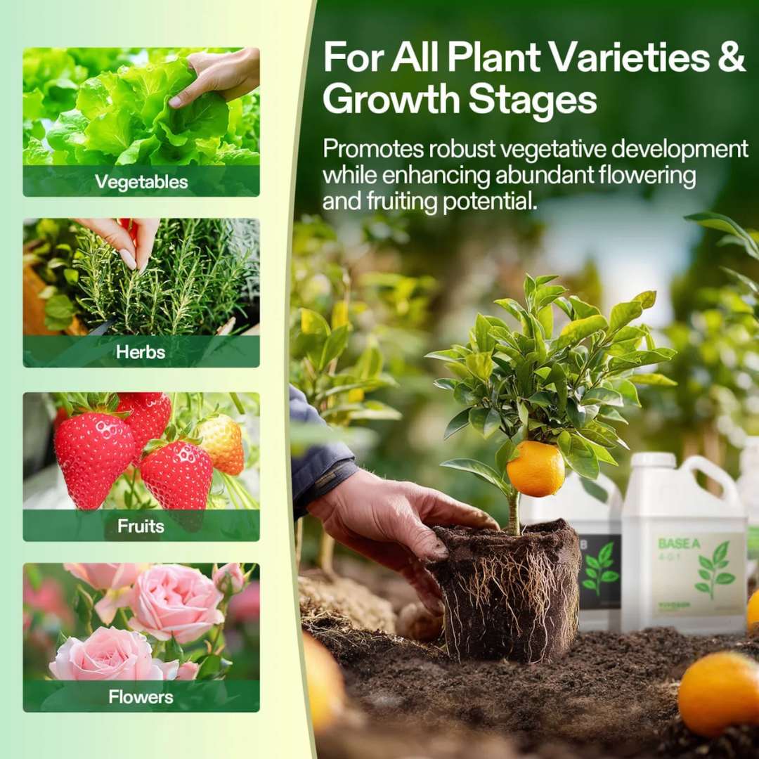 Vivosun Nutrients Base A & B Bundle, Liquid Fertilizer Supports Vegetative and Flowering Stage, 1 Gallon Each
