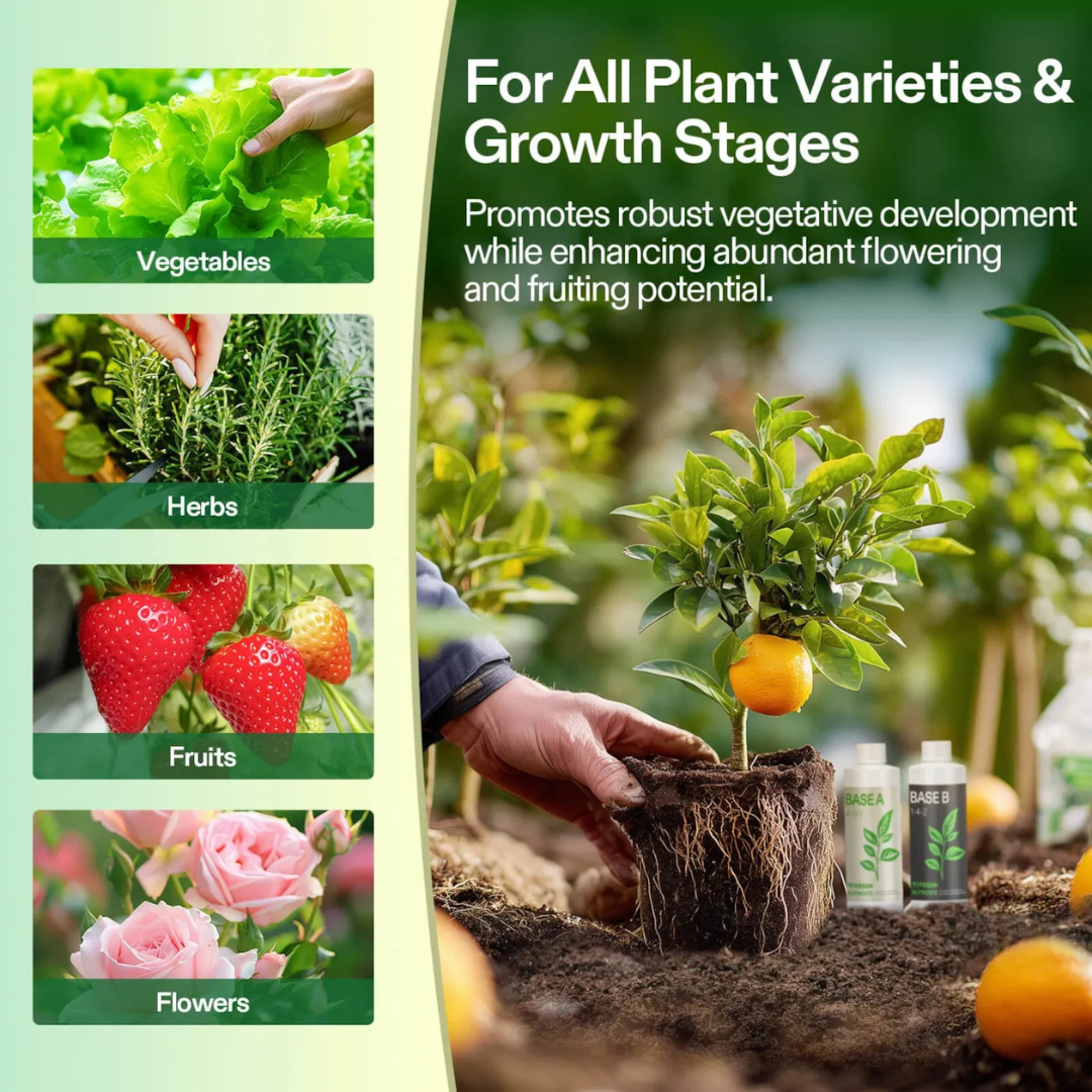 Vivosun Nutrients Base A & B Bundle, Liquid Fertilizer Supports Vegetative and Flowering Stage, 8oz
