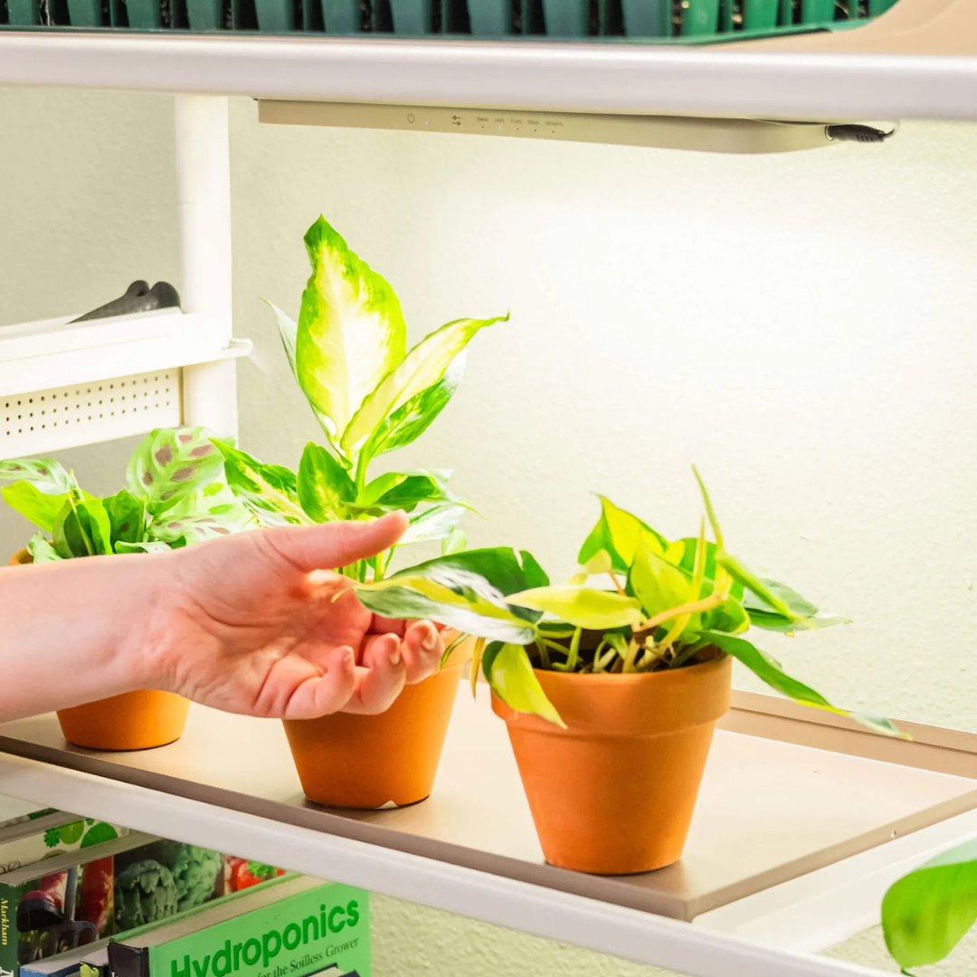 Vego Grow Light Garden Conversion Kit
