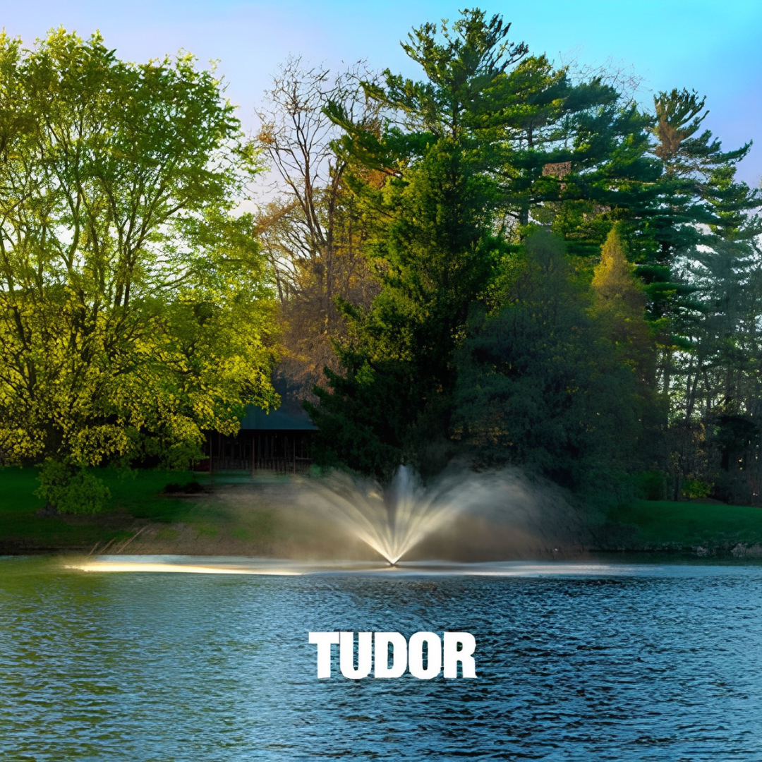 Scott Aerator Great Lakes Fountain For Medium, Residential Ponds 1 hp 115 volts