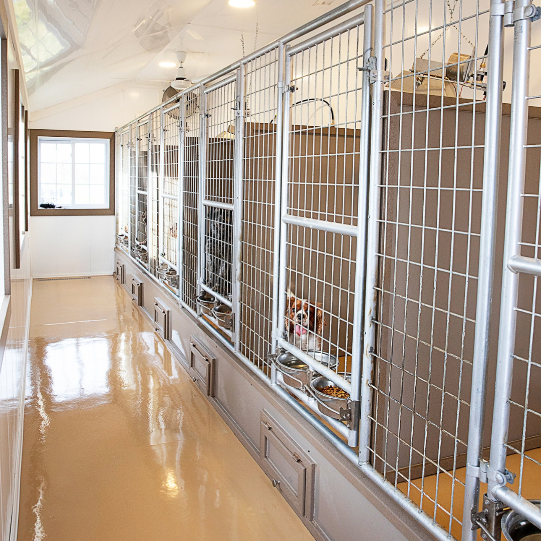 Bird in Hand 14×24 6-Run Commercial Kennel
