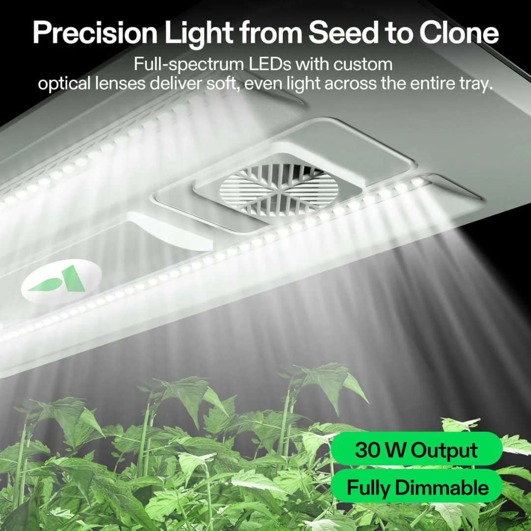 Vivosun VSeed S40 Smart Seedling Box, Indoor Seed Starting & Cloning System with Ebb & Flow Irrigation, 2 Pack
