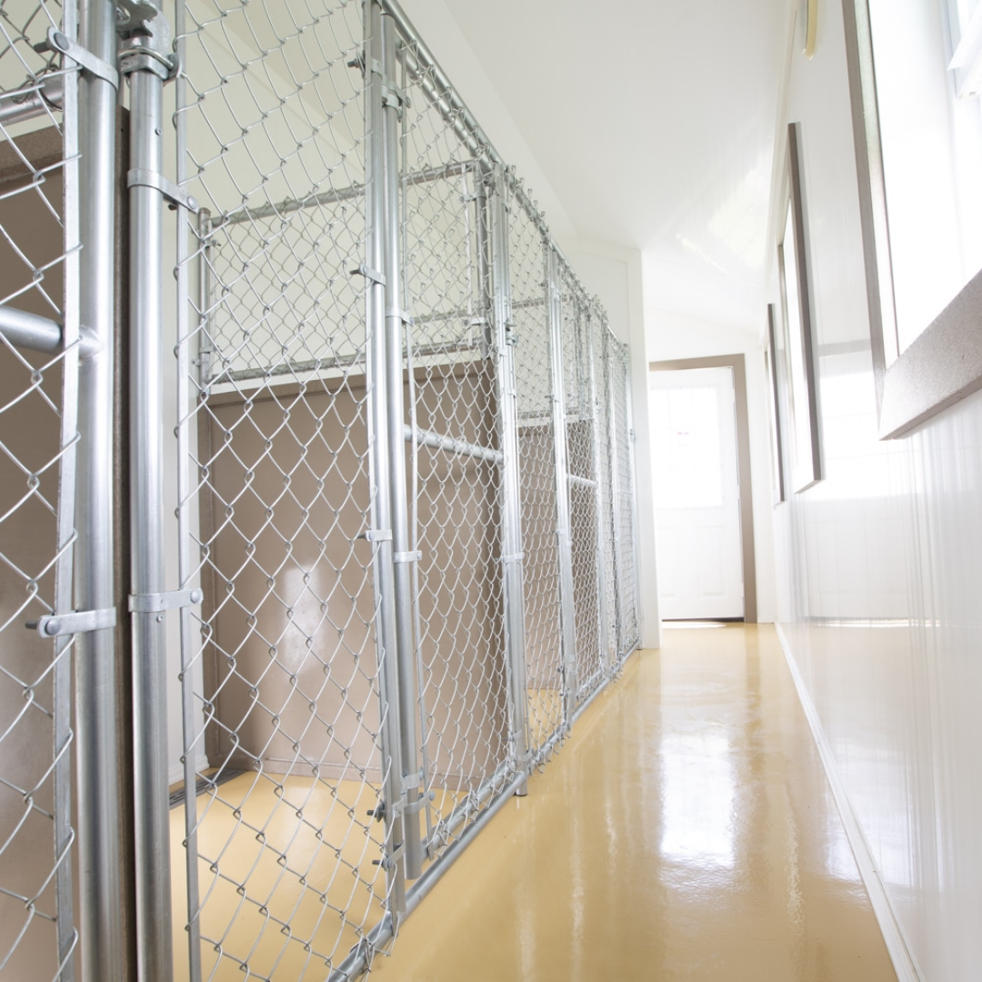 Bird in Hand Chainlink Kennel Fencing Panels 4 feet high