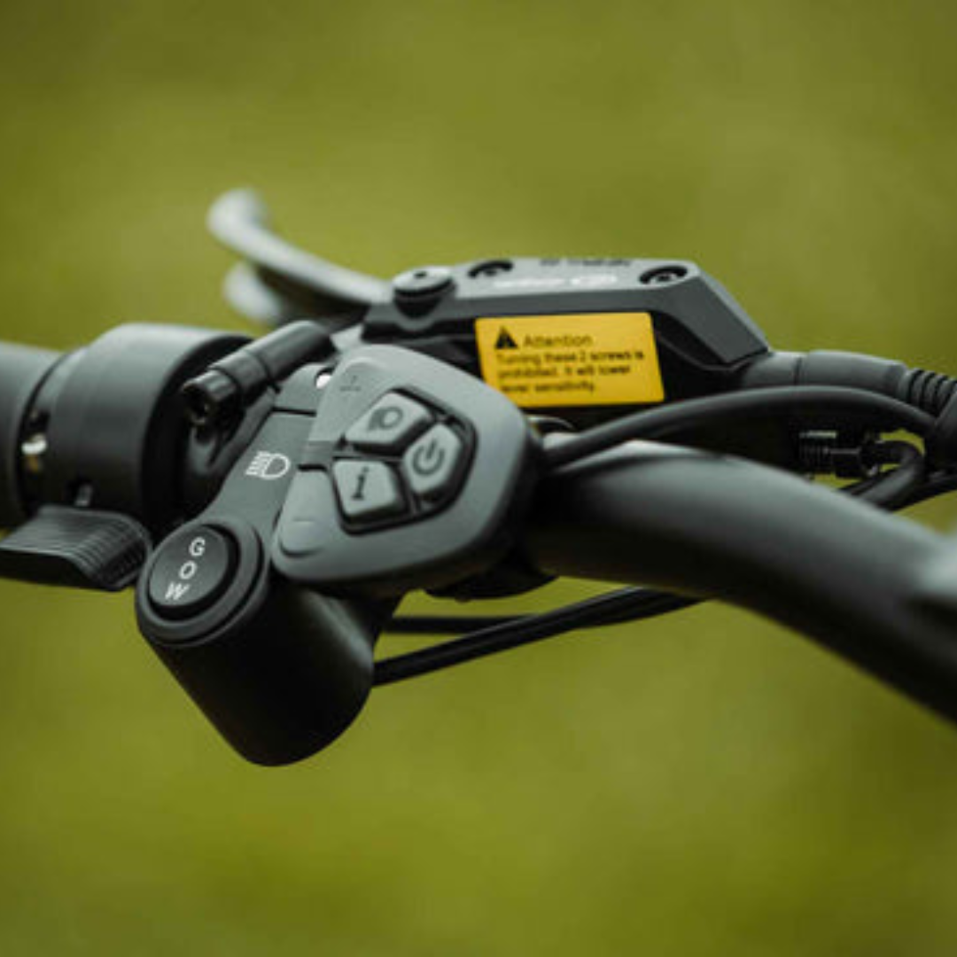 Rambo Bikes Rebel 2.0 – 15Ah