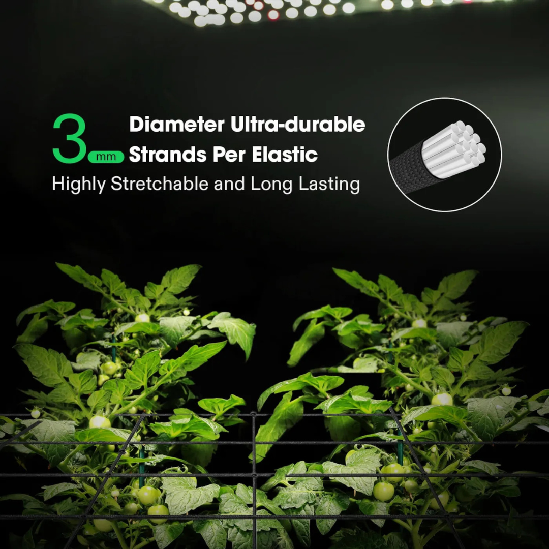 Vivosun 5 x 5Ft. Elastic Trellis Netting with 4 Hooks
