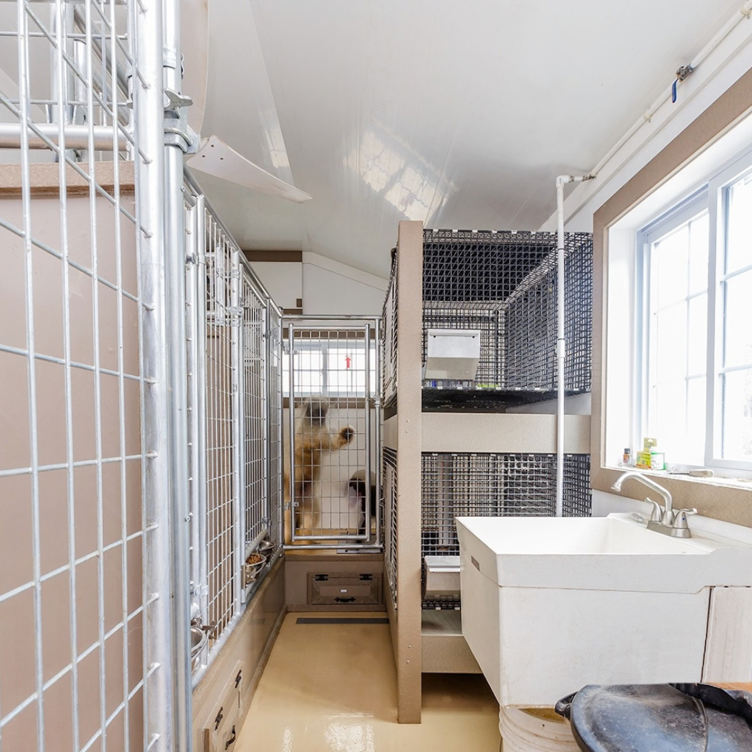 Bird in Hand 15×32 8-Run Commercial Kennel