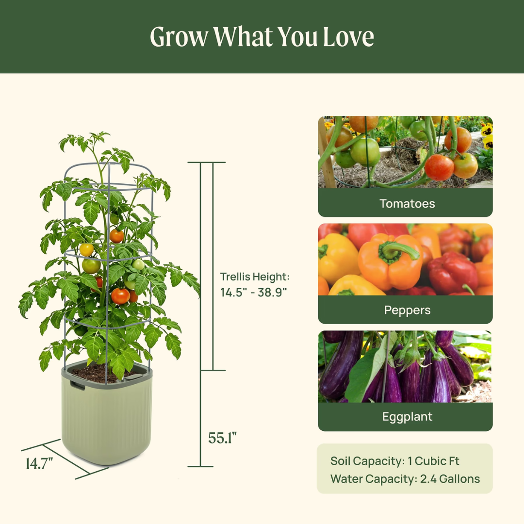 Vego EZ Self-Watering Tomato Planter with Trellis Gen 2