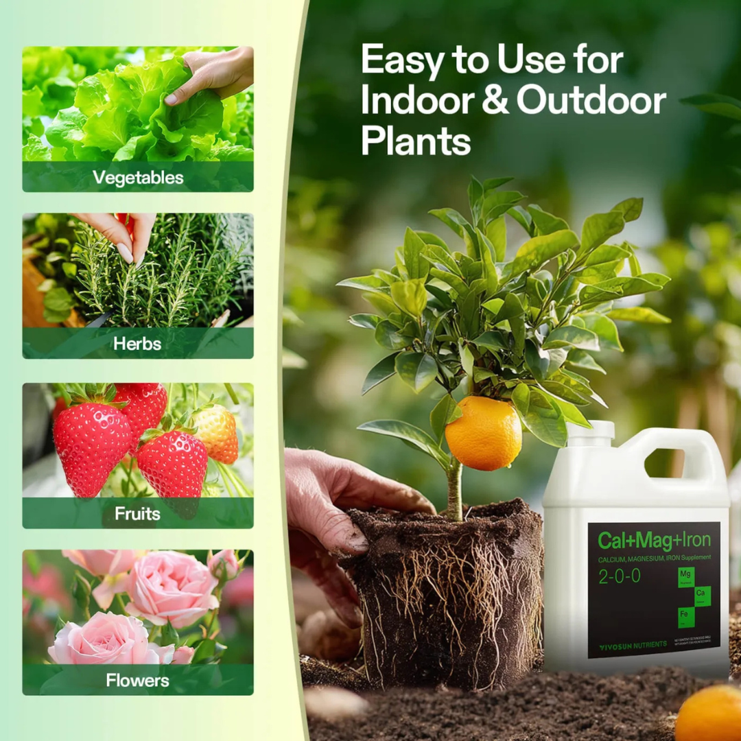 Vivosun Cal+Mag+Iron (2-0-0), Calcium, Magnesium & Iron Supplement, Liquid Nutrient Fertilizer for All Plants, 1 Quart
