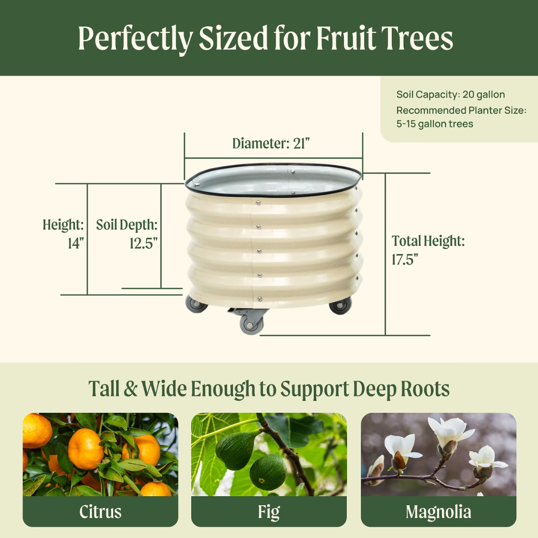 Vego Classic Rolling Citrus Tree Planter - 20 Gallon, 21" Dia.
