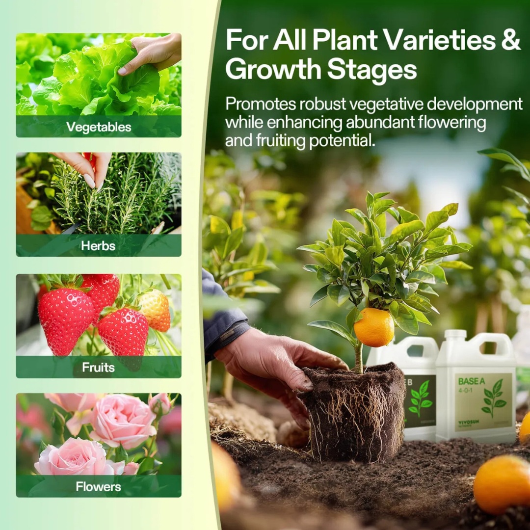 Vivosun Nutrients Base A & B Bundle, Liquid Fertilizer Supports Vegetative and Flowering Stage