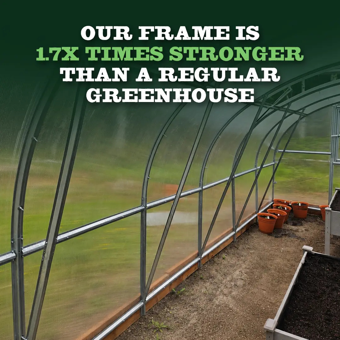 YourGreenHouses World's Most Popular Polycarbonate Greenhouse