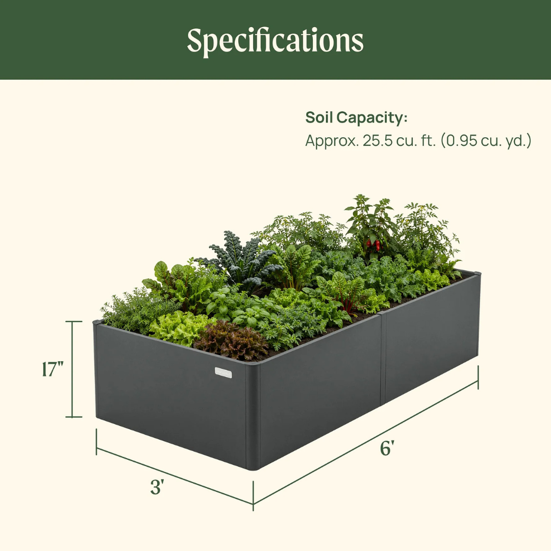 Vego 17" Tall Modern 3' x 6' Metal Raised Garden Bed