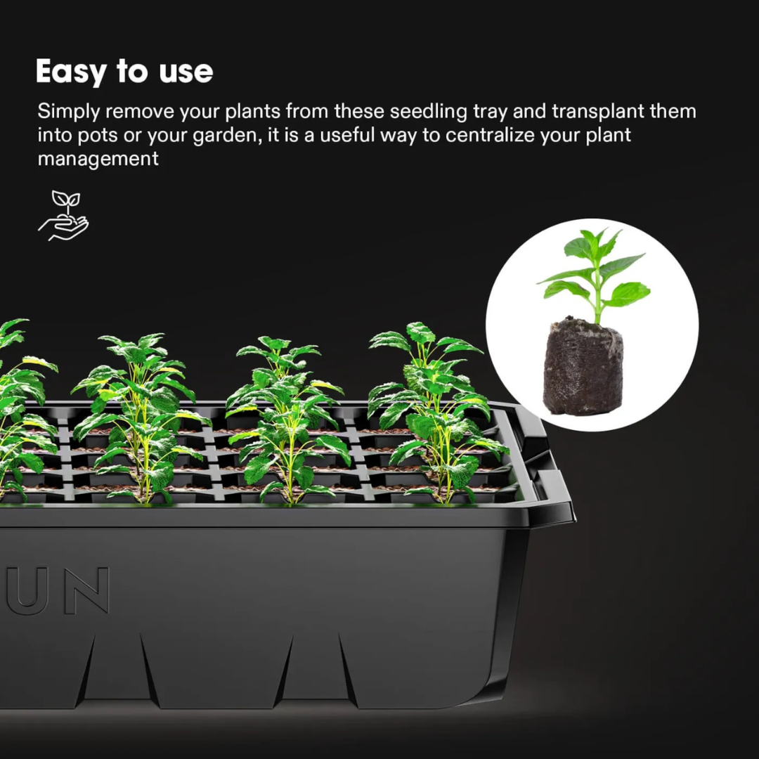 Vivosun 6-Pack Seed Starter Trays, 240-Cell Seed Starter Kit with 2 Set of LED Lights