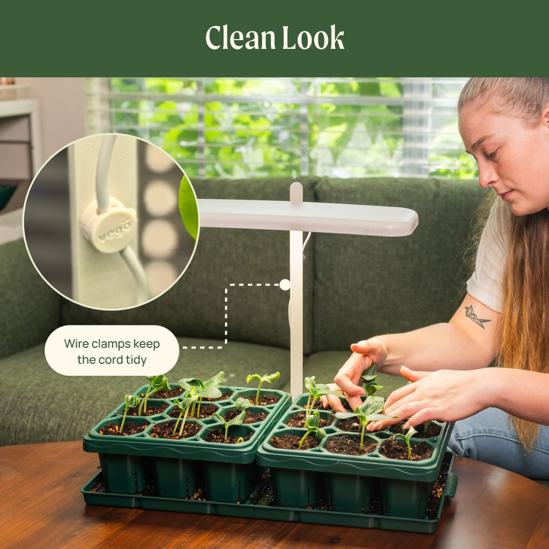 Vego Grow Light Stand - Starter