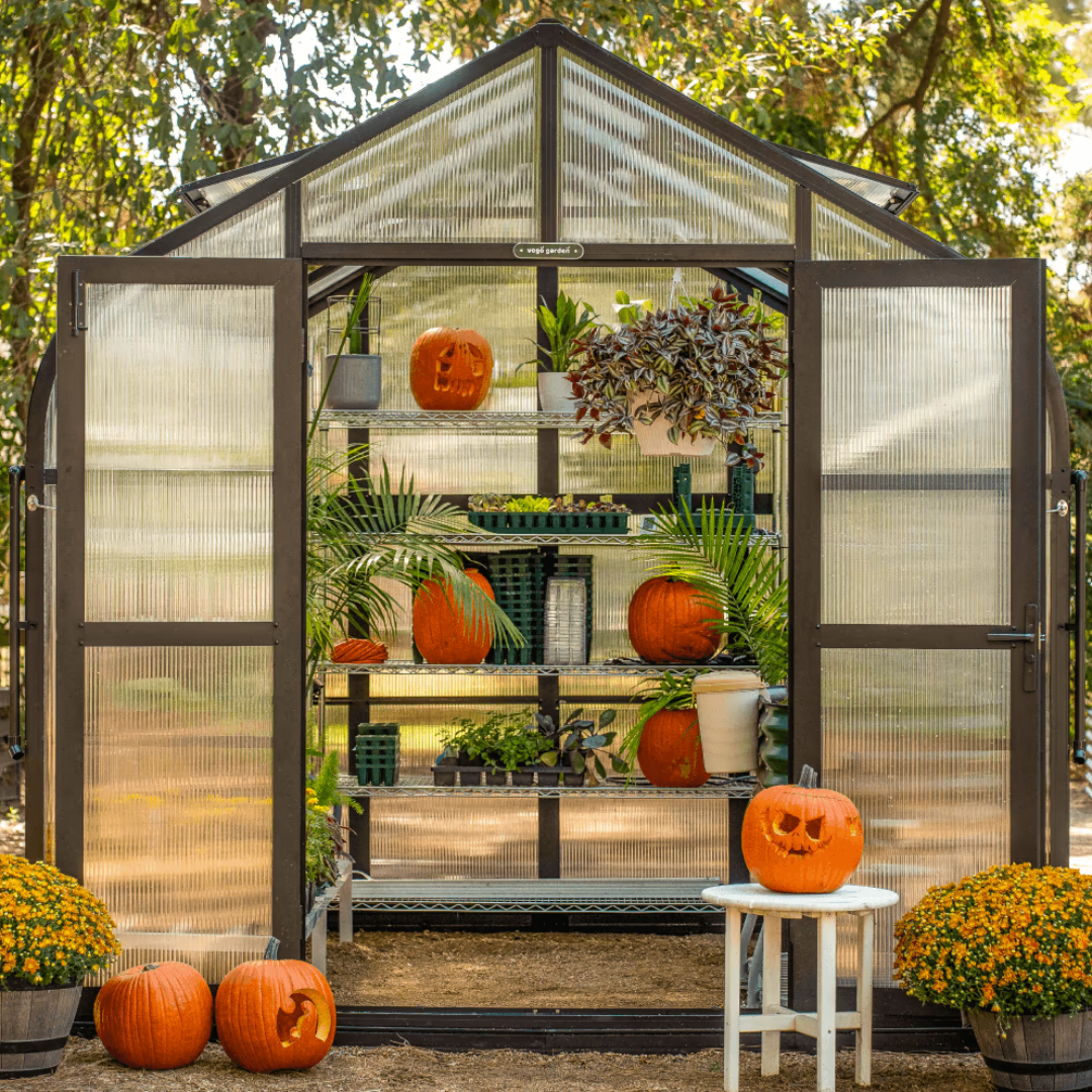 Vego Pacific Greenhouse - 8.5ft Wide
