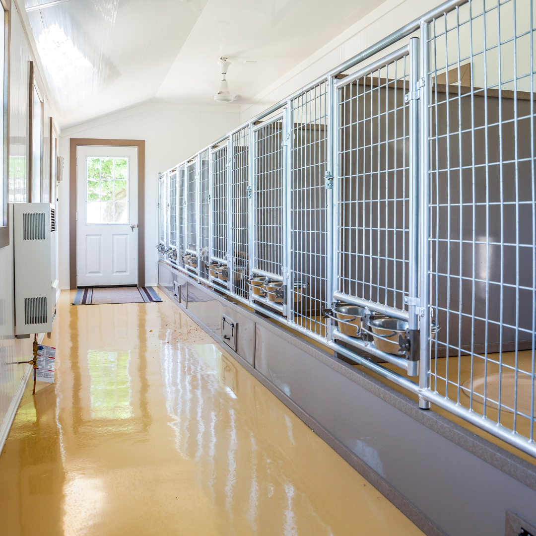 Bird in Hand 14×32 8-Run Commercial Kennel