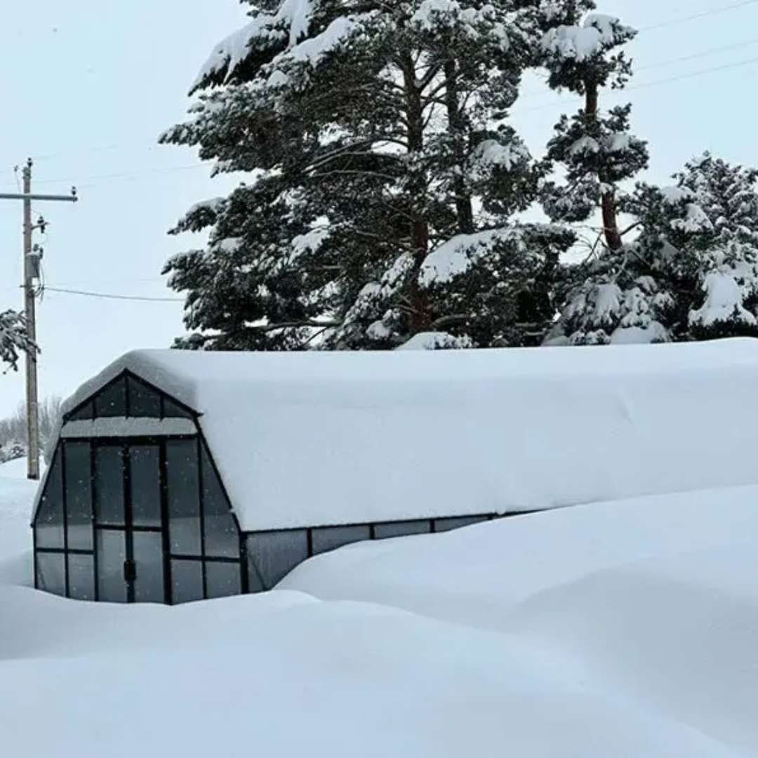Grandio Summit 12x20 Greenhouse Kit