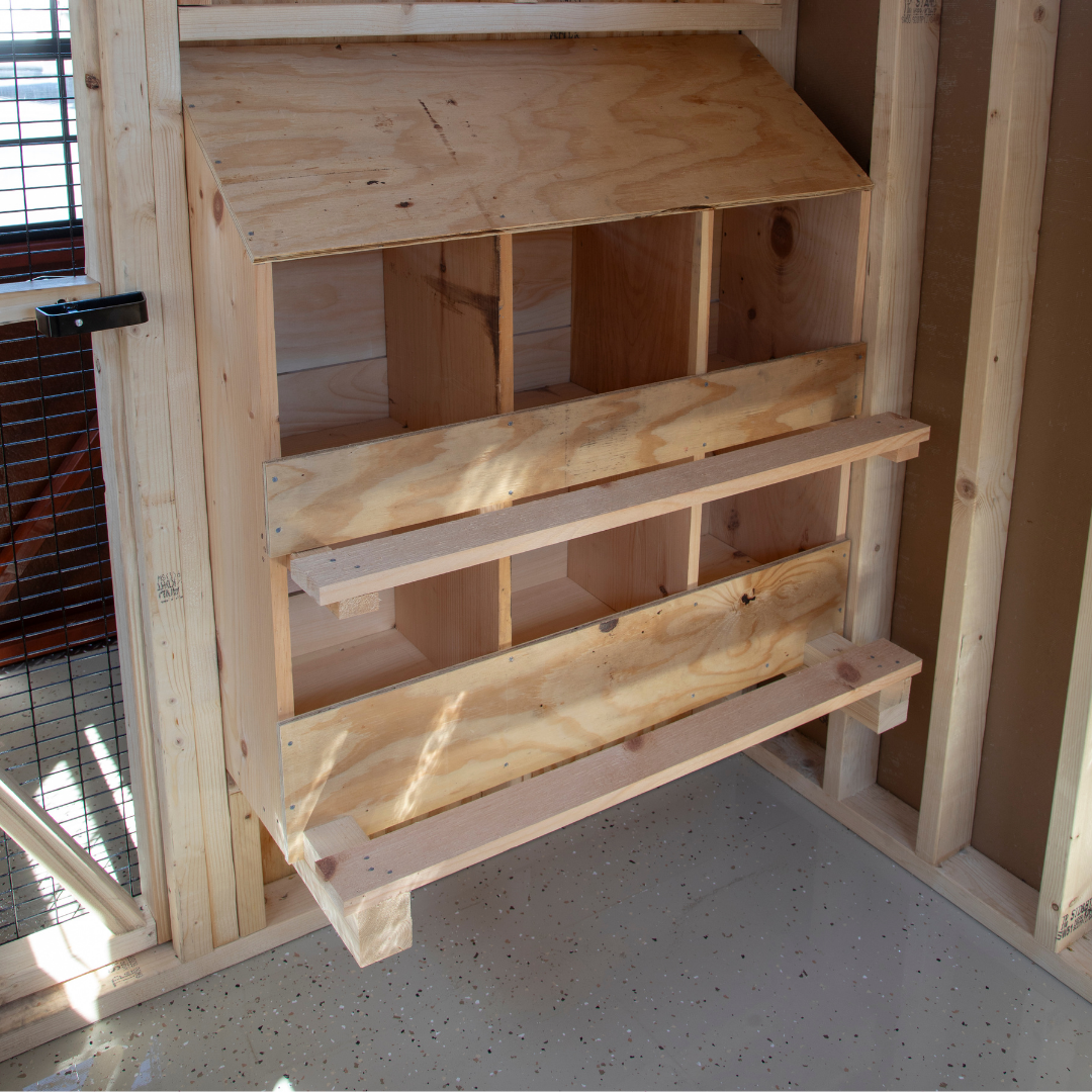 Bird-in-Hand 6×10 A-Frame Chicken Coop