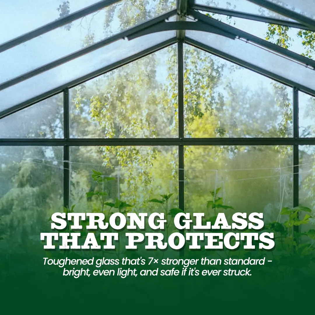YourGreenhouses Scandiglas T-Shape Orangerie