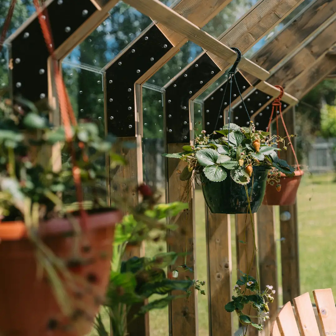 YourGreenhouses Nordwood Greenhouse
