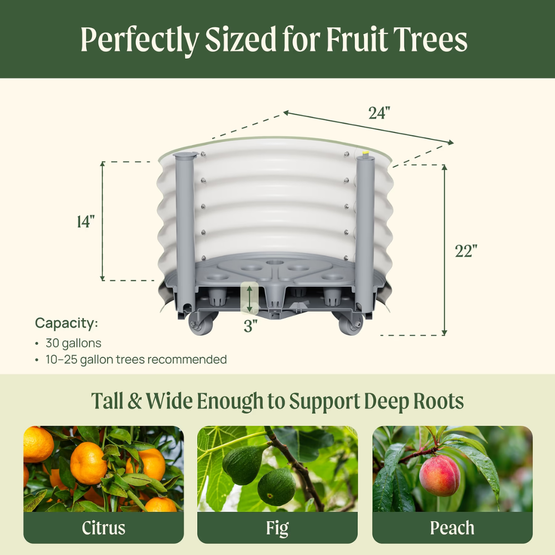Vego Self-Watering Rolling Citrus Tree Planter 30 Gallon, 24" Dia. - Gen 3
