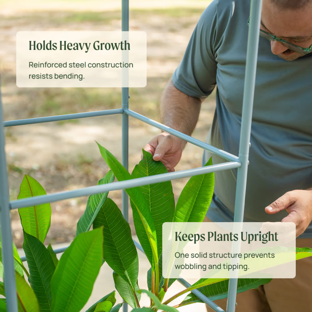 Vego Classic Rolling Cube Tomato Planter