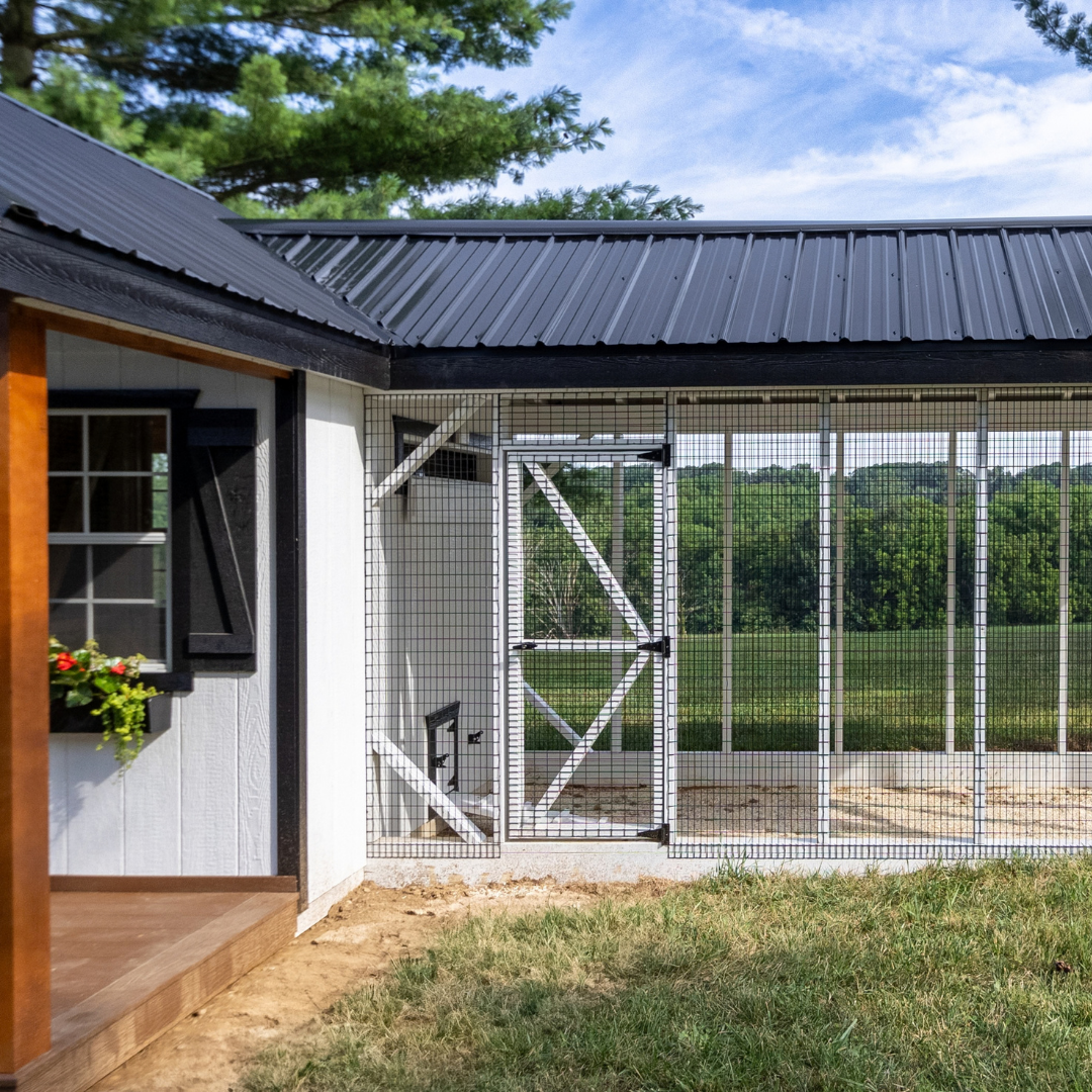 Bird in Hand 11×34 A-Frame Combination Chicken Coop