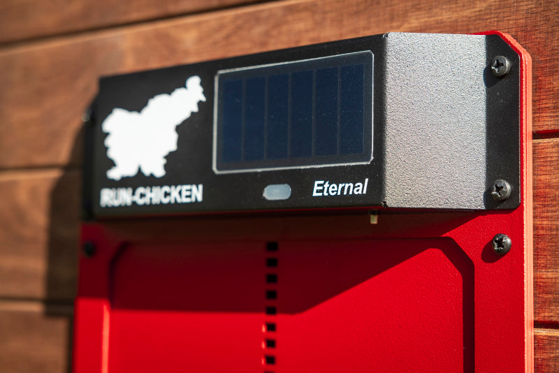 RUN-CHICKEN Eternal BT – Red