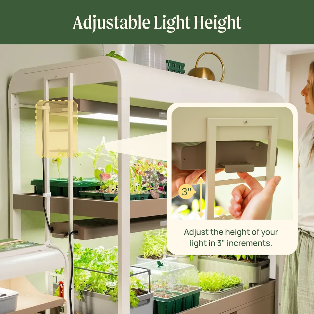 Vego Ultimate Grow Light Garden with Storage