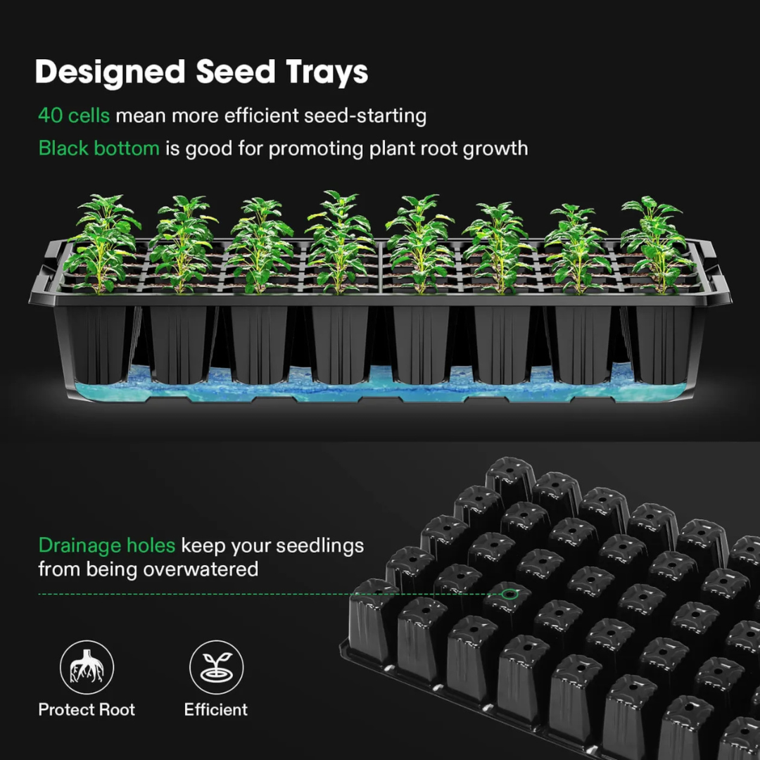 Vivosun 6-Pack Seed Starter Trays, 240-Cell Seed Starter Kit with 2 Set of LED Lights