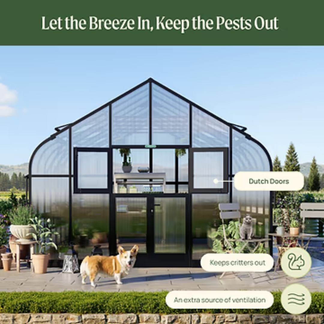 Vego Grand Pacific Greenhouse - 12.5ft Wide
