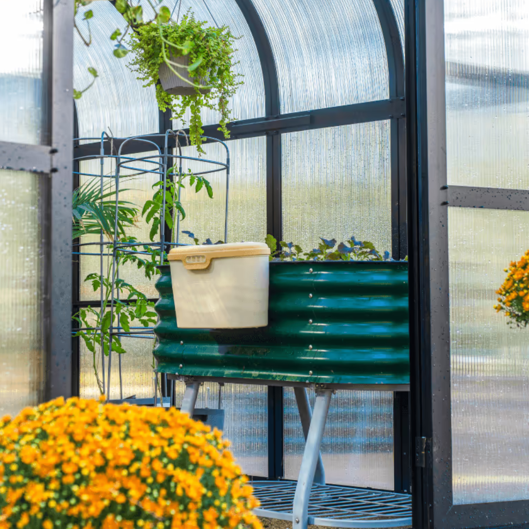 Vego Pacific Greenhouse - 8.5ft Wide