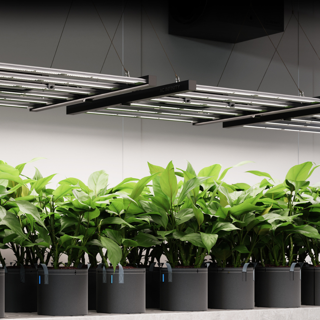 AC Infinity IONFRAME EVO6, Grow Light 500W, Full Spectrum LED 4x4 Coverage