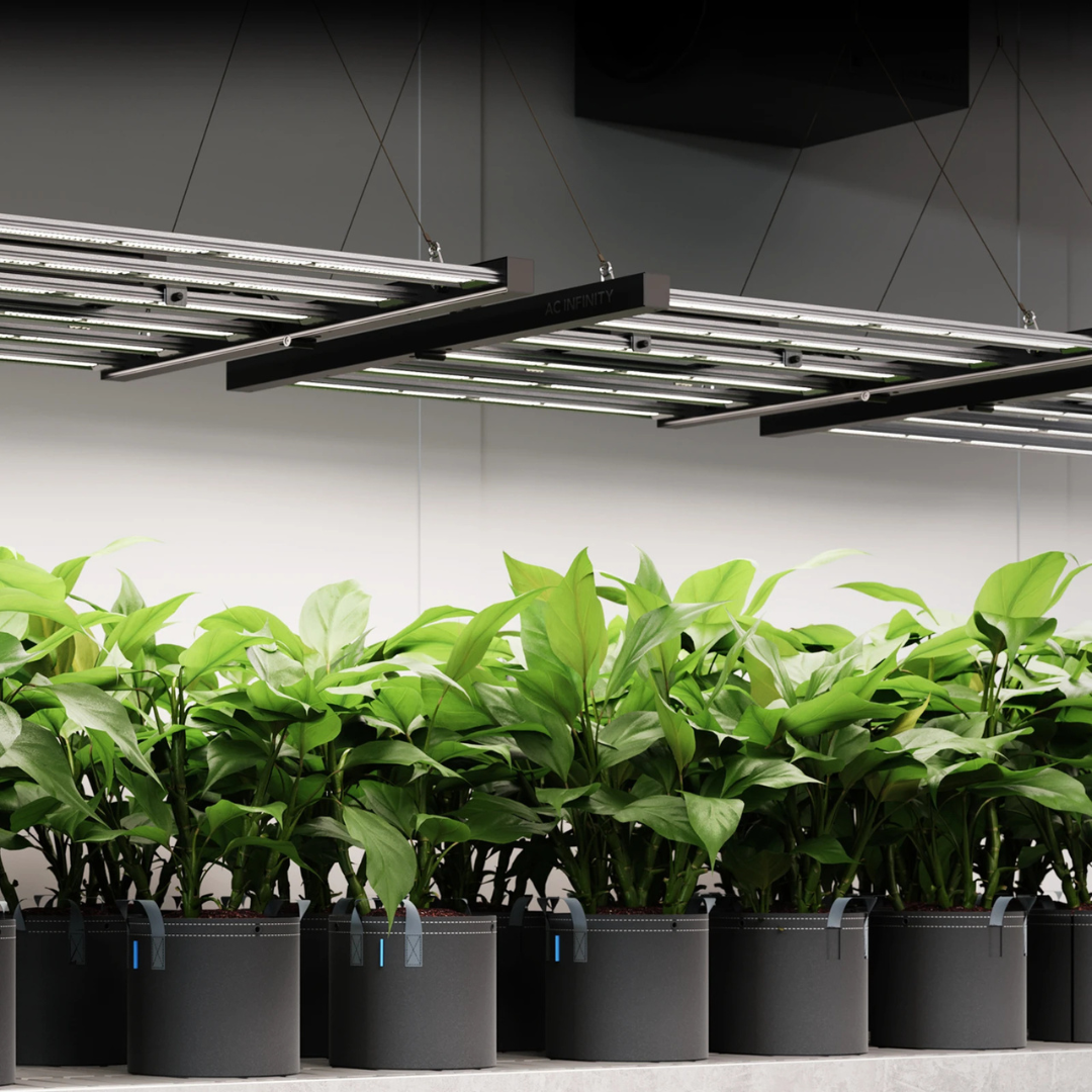 AC Infinity IONFRAME EVO10, Grow Light 1000W, Full Spectrum LED 5x5 Coverage