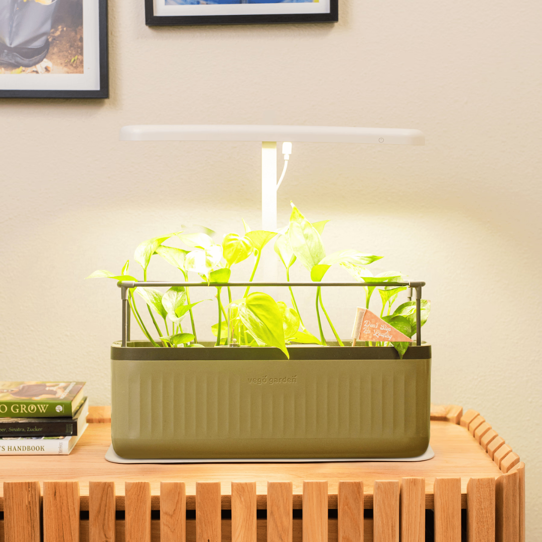 Vego Grow Light Stand - Starter