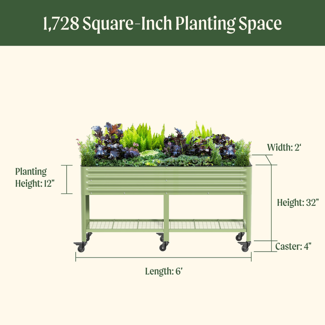 Vego Elevated Garden Bed - 2' x 6'