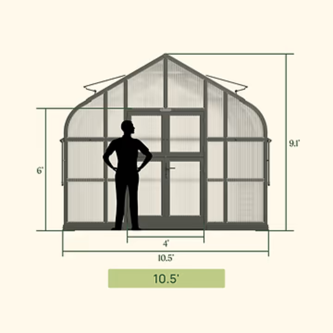 Vego Pacific Greenhouse - 10.5ft Wide