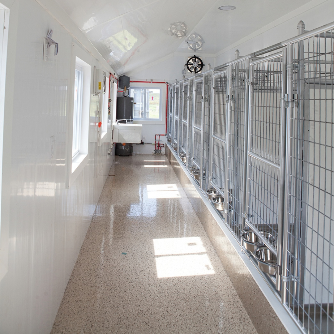 Bird in Hand 14×32 8-Run Commercial Kennel