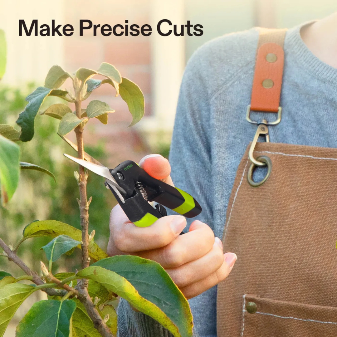 Vivosun Gardening Hand Pruner Pruning Shear with Straight Stainless Steel Blades, Black-and-Green