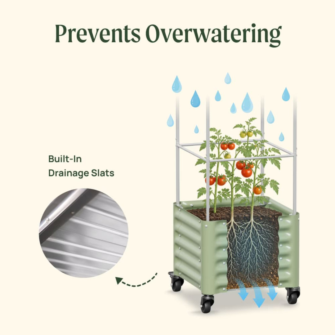 Vego Classic Rolling Cube Tomato Planter