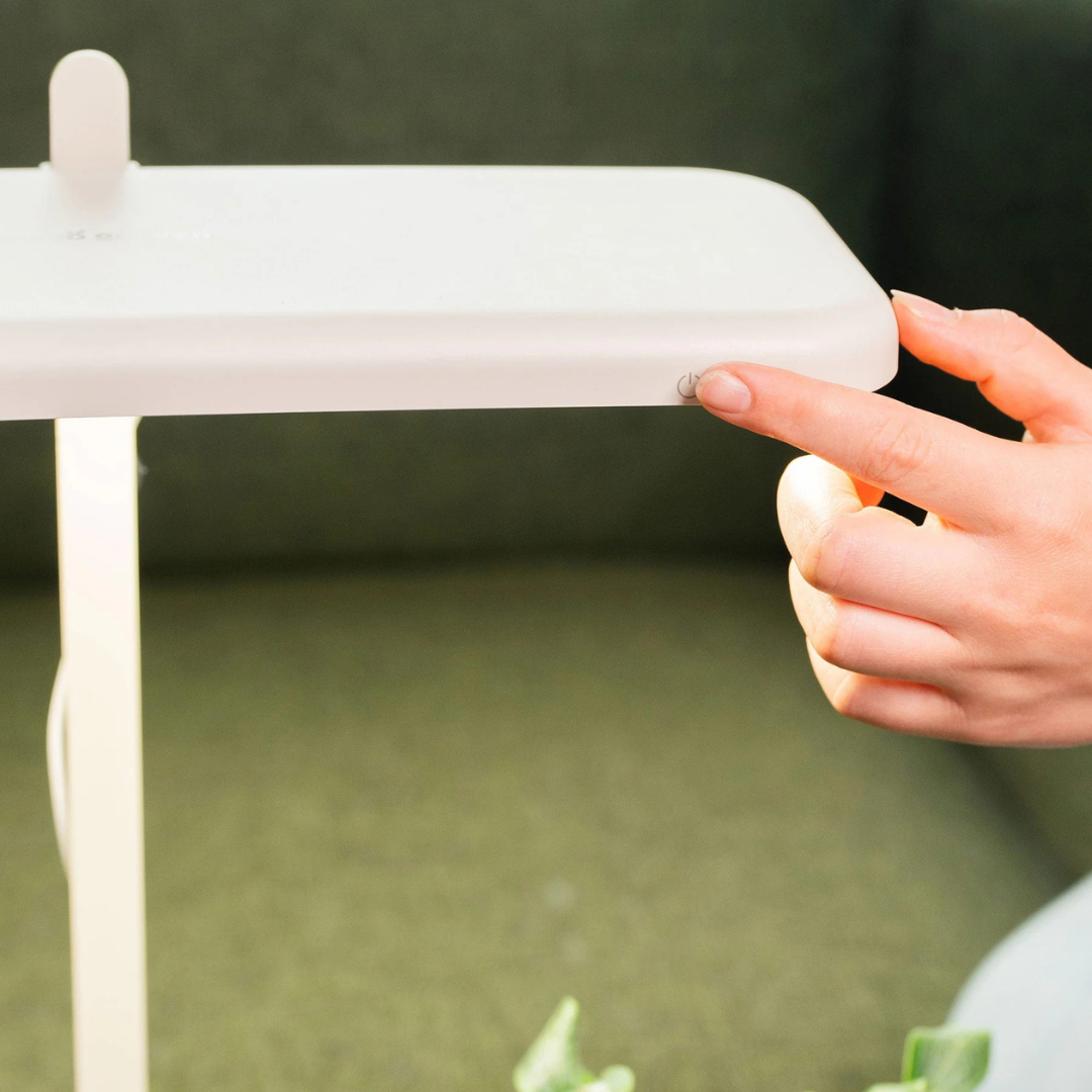 Vego Grow Light Stand - Starter