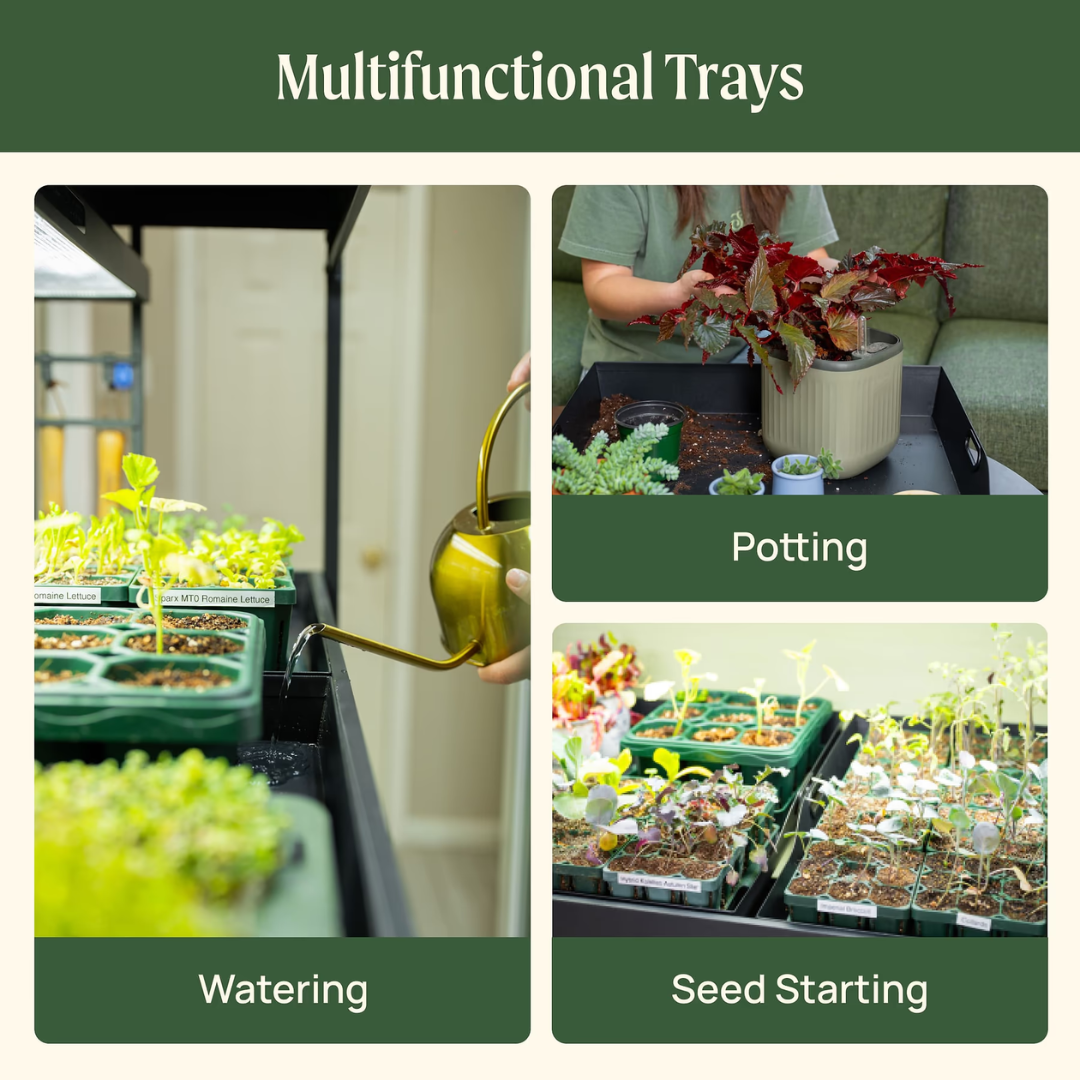 Vego Ultimate Grow Light Garden