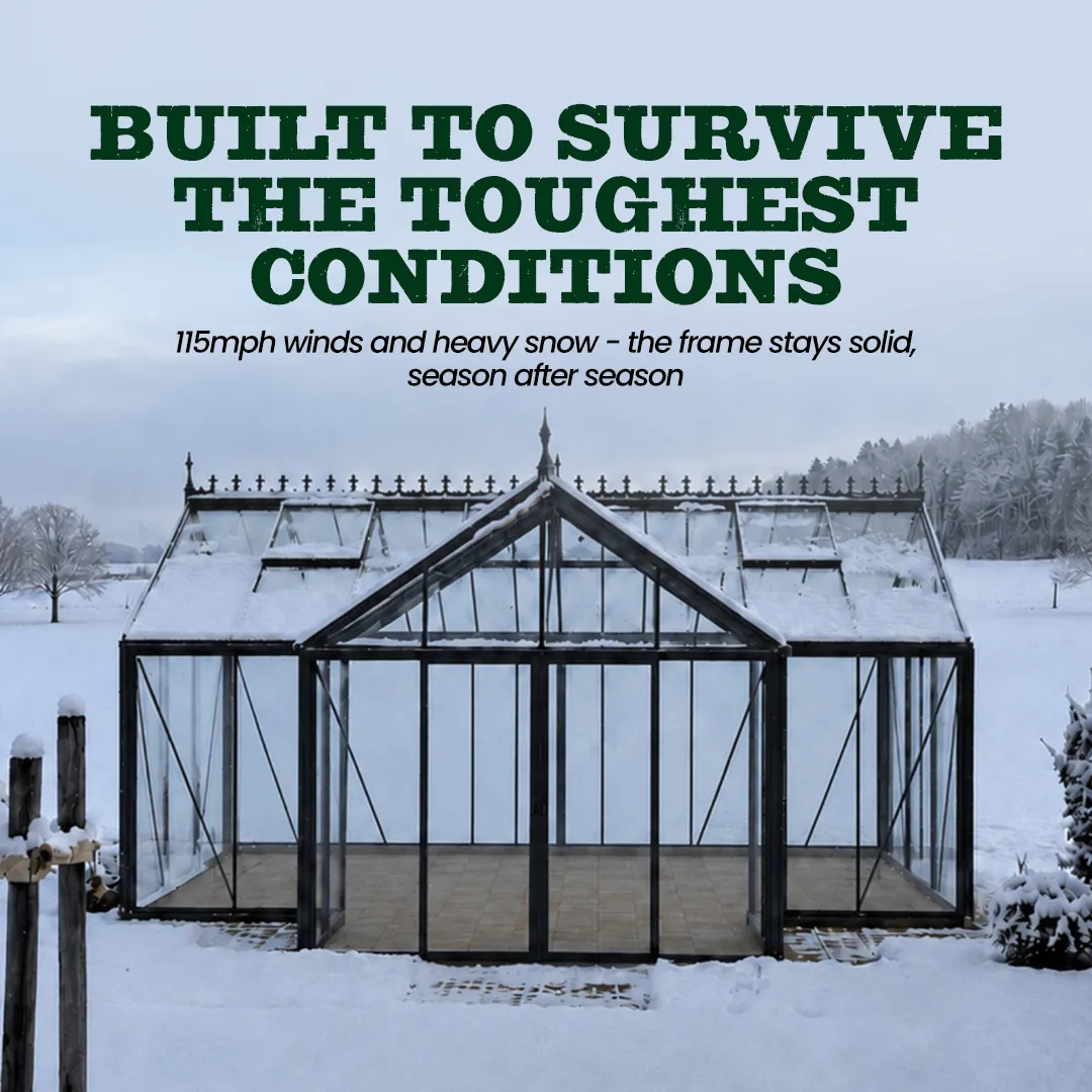 YourGreenhouses Scandiglas T-Shape Orangerie