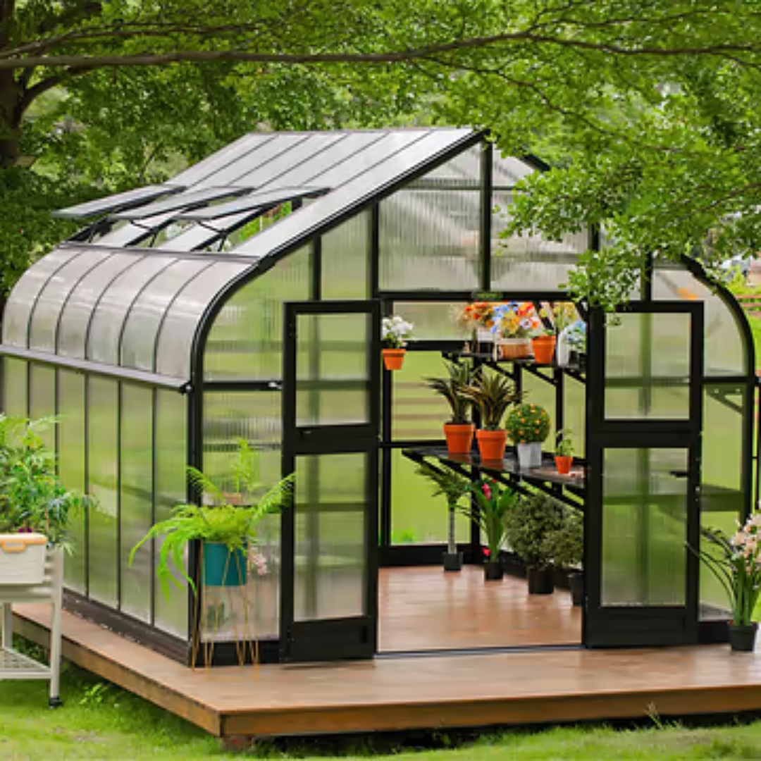 Vego Pacific Greenhouse - 10.5ft Wide