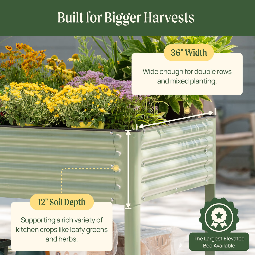 Vego Elevated Garden Bed - Jumbo Series 3' x 8'