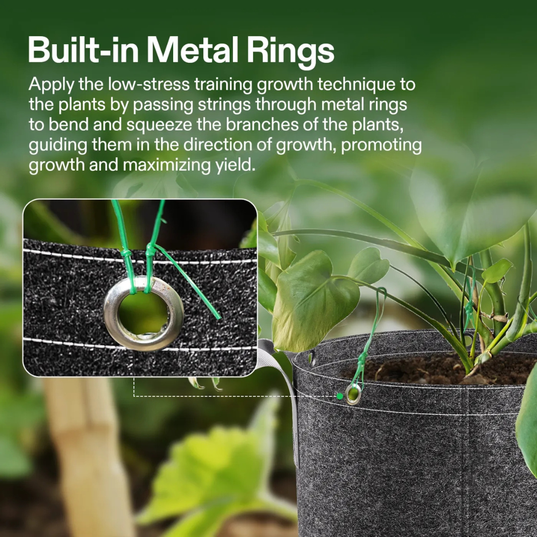 Vivosun Gallon Grow Bags 5-Pack Black Thickened Nonwoven Fabric Pots with Handles, Multi-Purpose Rings $18.99